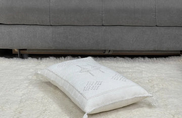 Welcoming Elegance: Pillows in the Living Room