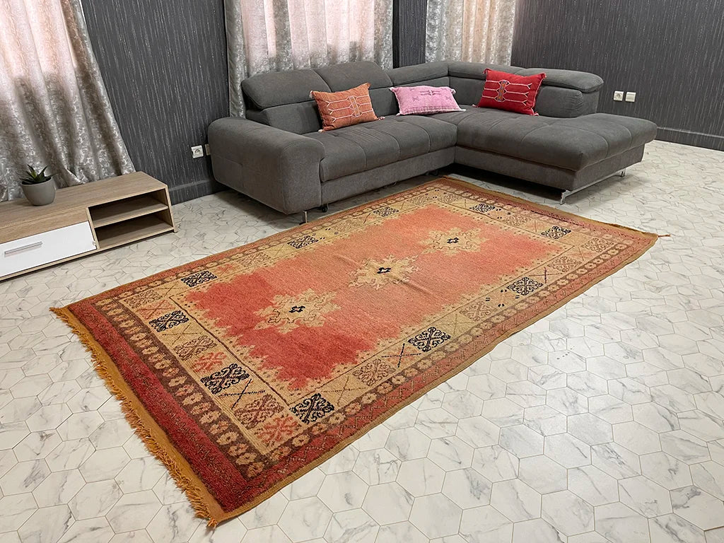 Urban Tapestry - 5x9ft- Boujaad Rug