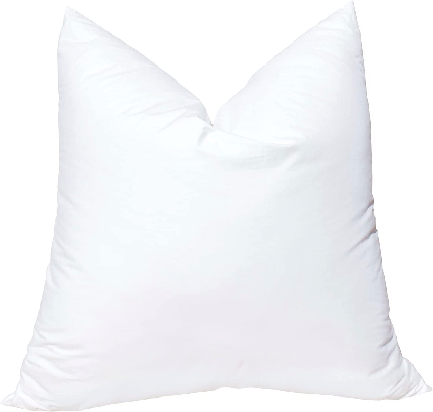 Pillow Insert