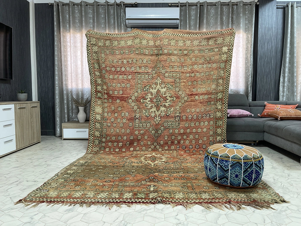 Jardin Joy - 7x11ft- Boujaad Rug