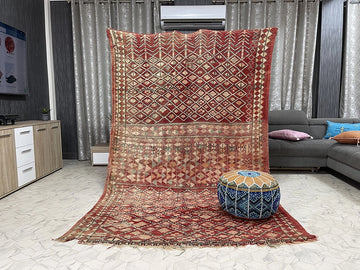 Tan Tan Treasures - 6x10ft- Boujaad Rug