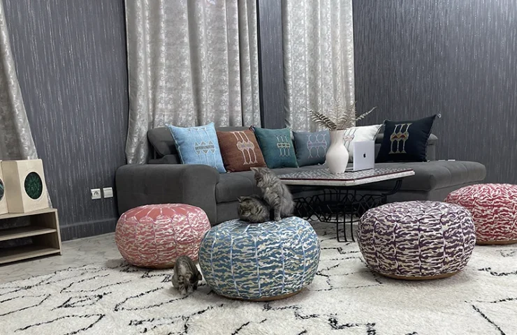 Shop High-Quality Poufs, Pillows, and Rugs at Kechart - Free Shipping