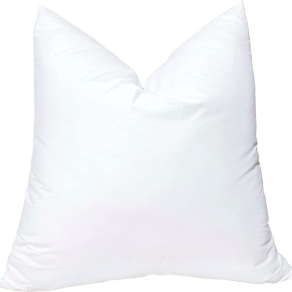 Pillow Insert - 20x20