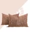 Sahara Sands - Pillow
