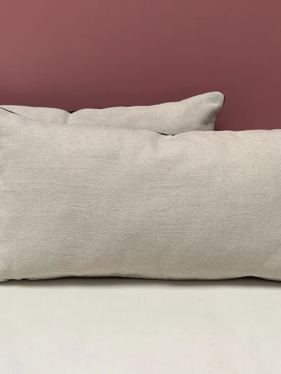 Majestic Lion - Large Pillow