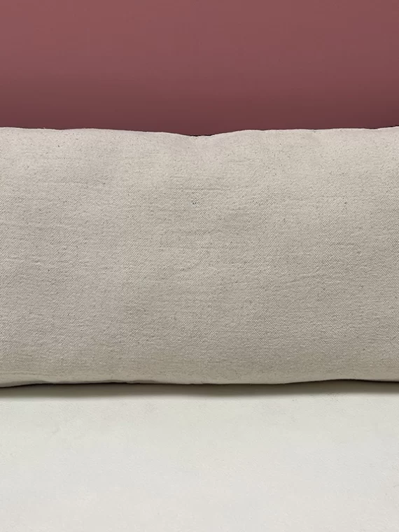 Majestic Lion - Large Pillow
