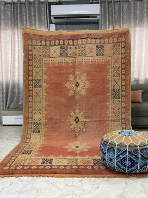 Urban Tapestry - 5x9ft- Boujaad Rug
