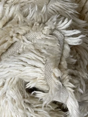 Creamscape moroccan rug