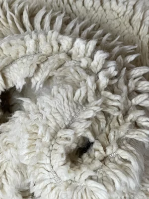 Talha Plush Cream moroccan rug