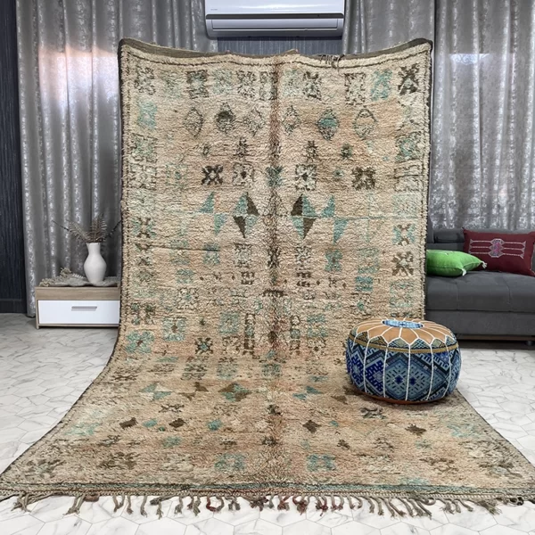 Rosanita moroccan rugs