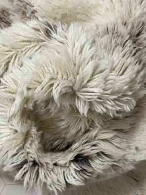 Ludgerus moroccan rugs