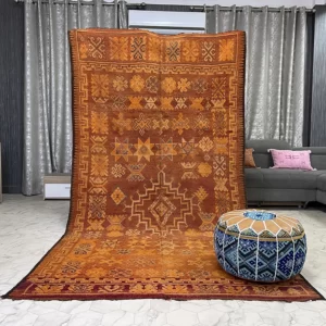 Earthsong moroccan rugs