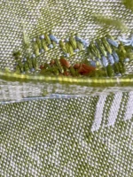 Lemon Mist - 2x10ft  Natural Cactus Silk Rug
